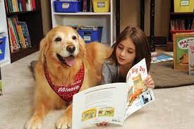 Read To A Dog: (Gr K